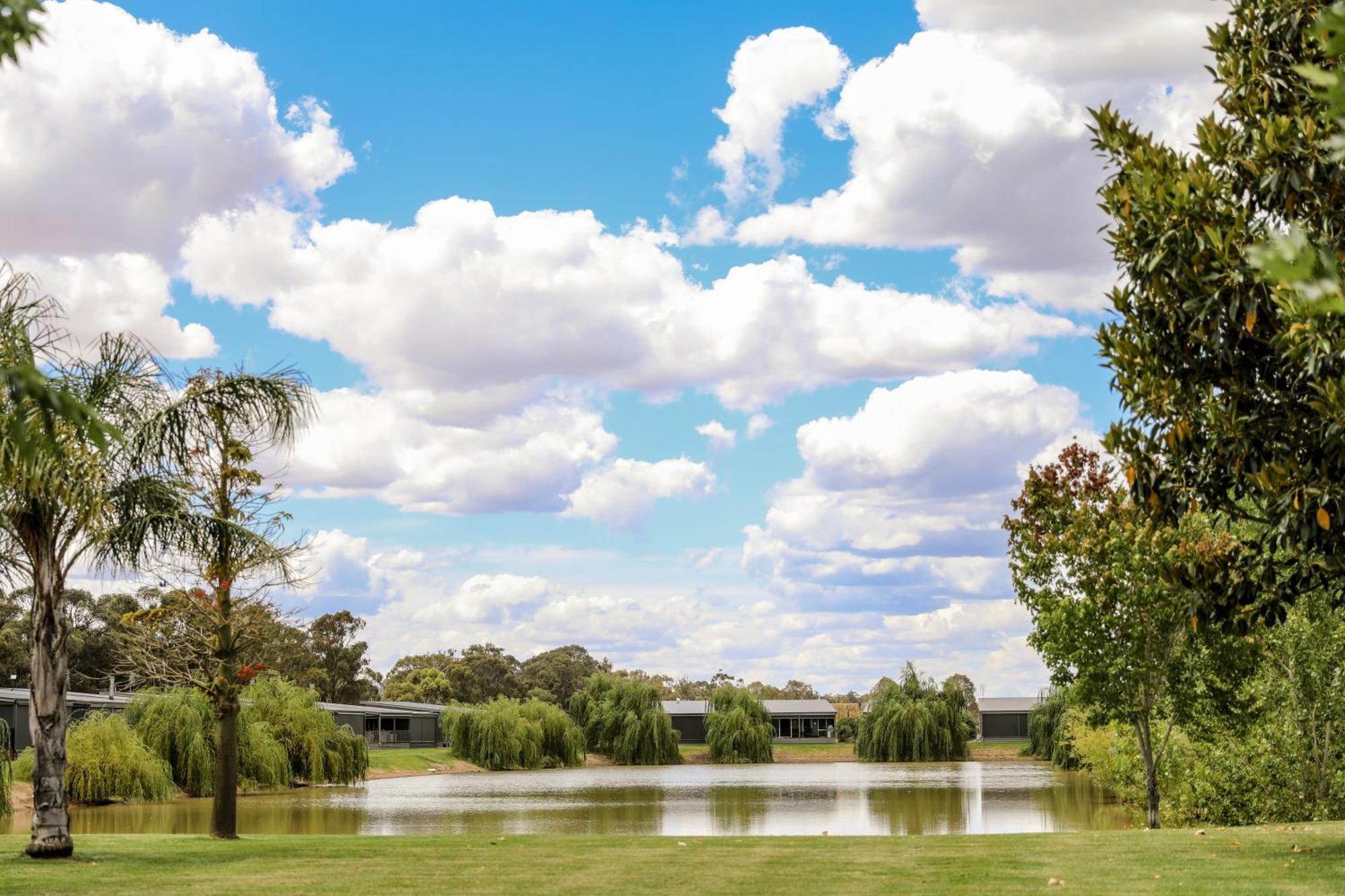 Discovery Parks - Moama Waters 外观 照片